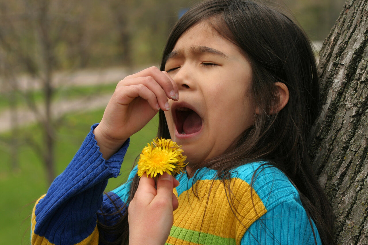 Comprendre les différentes allergies et comment les gérer